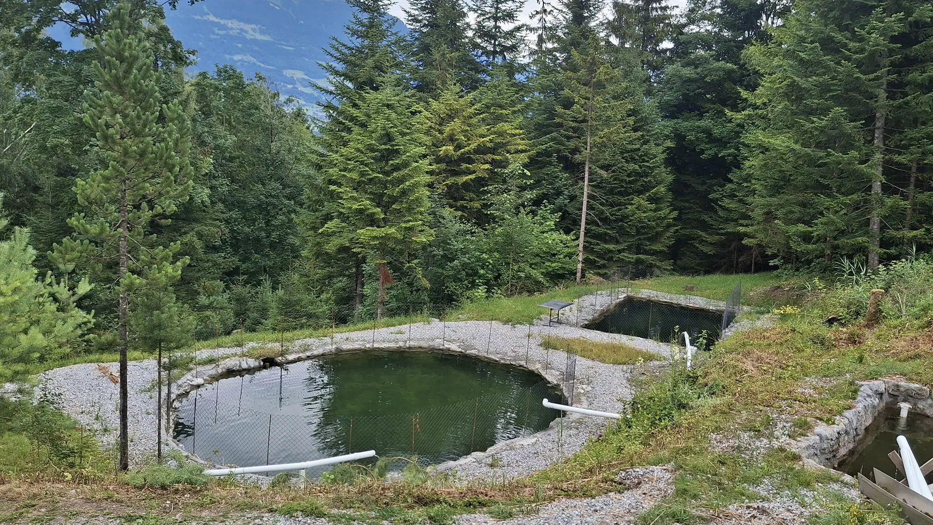 Blick nach Nenzing, vom Wirtschaftsgebäude auf die Fischbecken mit Saibling und Forellen
